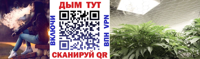 Купить НБОМе  COCAIN  МЕФ  Конопля  ГАШИШ  Дмитров