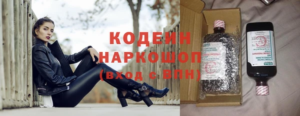 прущий лед Богданович