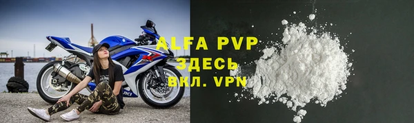 прущий лед Богданович