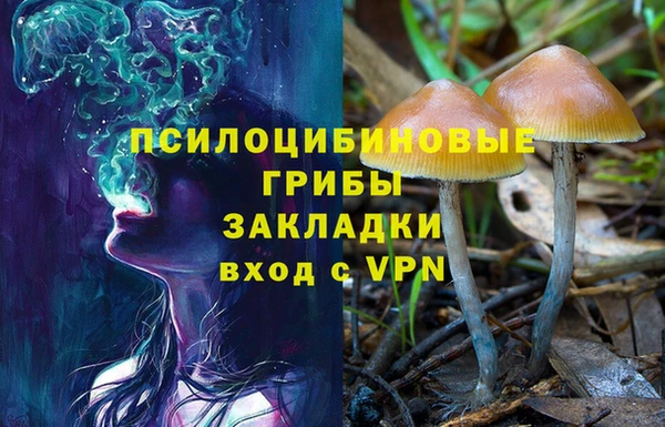 каннабис Богородицк