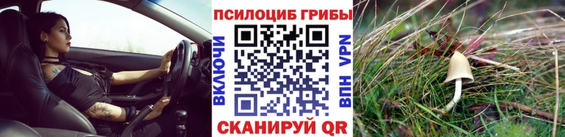 Псилоцибиновые грибы Psilocybine cubensis  Купить  Дмитров 