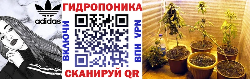 Каннабис SATIVA & INDICA Купить закладки Дмитров